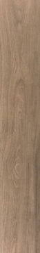 Picture of Elysium - Faedo 8 x 48 Taupe