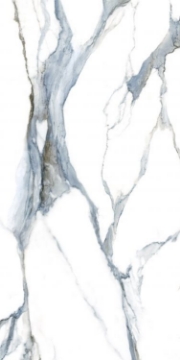 Picture of Elysium - Fantasy 24 x 48 Acqua