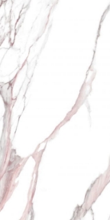 Picture of Elysium - Fantasy 24 x 48 Pink