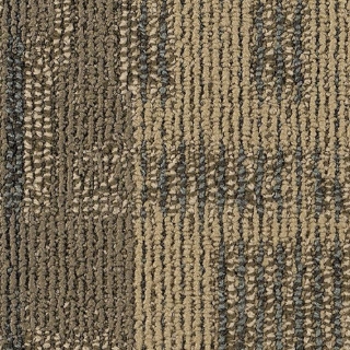 Picture of Philadelphia Commercial by Shaw - Exceptional Reality TV