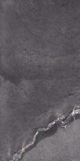 Picture of Elysium - Grant 24 x 48 Night