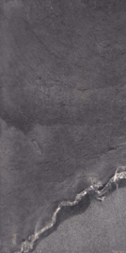 Picture of Elysium - Grant 24 x 48 Night