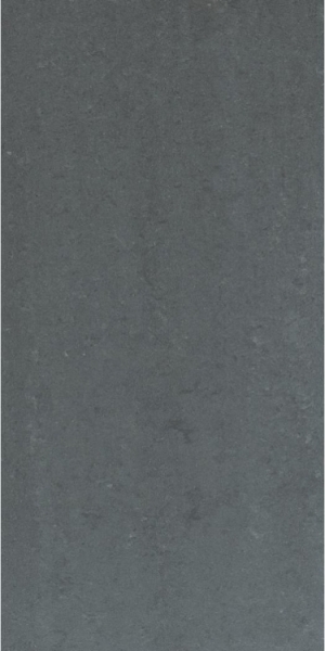 Picture of Elysium - Grey 12 x 24 Polished Dark