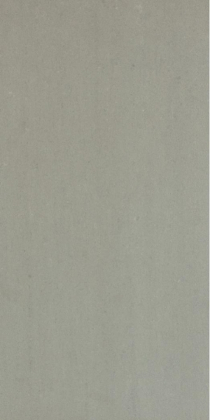 Picture of Elysium - Grey 12 x 24 Matte Light