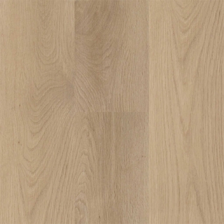 Picture of Next Floor - Amazing Pro Golden Oak