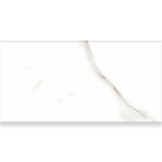 Picture of Alfagres - Calacata 12 X 24 Grey Matte