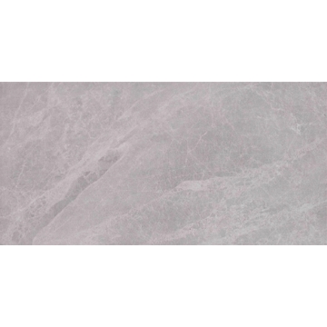 Picture of Alfagres - Lory 12 x 24 Light Grey