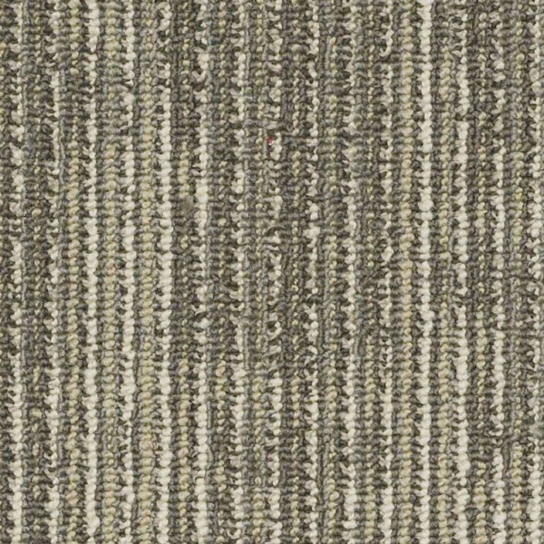 Picture of Philadelphia Commercial by Shaw - SP560 Erosion