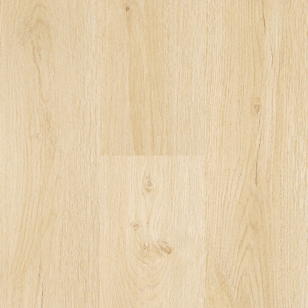 Picture of Next Floor - Waters Edge Sand Dunes