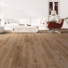 Picture of Next Floor - Regatta Heritage Oak