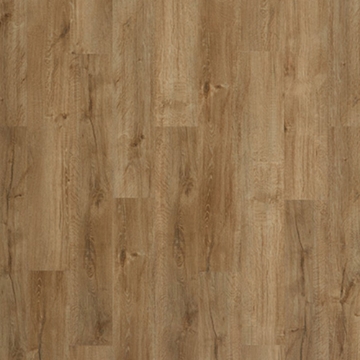 Picture of Palmetto Road - Inspire Fawn