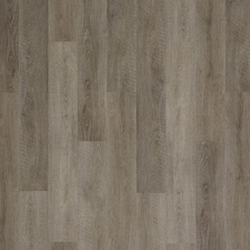 Picture of Palmetto Road - Inspire Park Side