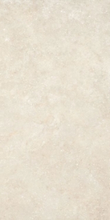 Picture of Elysium - Untamed 24 x 48 Wander Warm