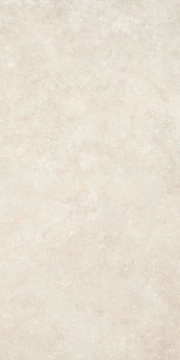 Picture of Elysium - Untamed 24 x 48 Wander Warm