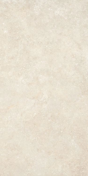 Picture of Elysium - Untamed 24 x 48 Wander Warm