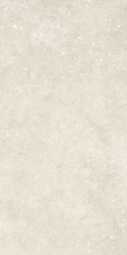 Picture of Elysium - Untamed 12 x 24 Wander Warm