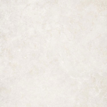 Picture of Elysium - Untamed 48 x 48 Wander White