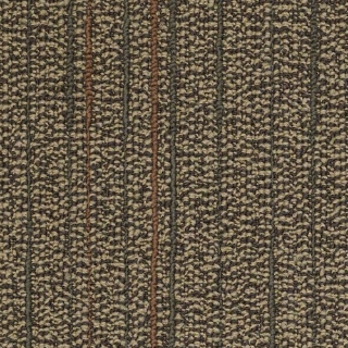 Picture of Philadelphia Commercial by Shaw - SP980 Ponder