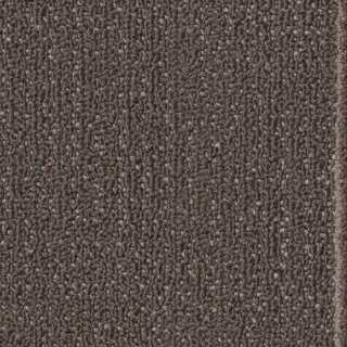 Picture of Philadelphia Commercial by Shaw - SPJ07 Mature