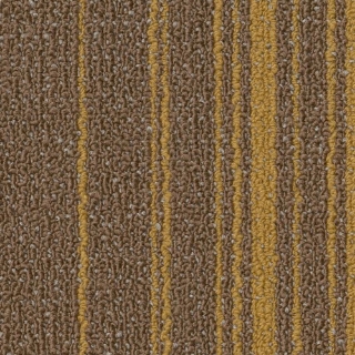 Picture of Philadelphia Commercial by Shaw - SPJ07 Evolve