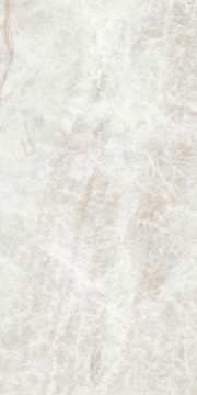 Picture of Elysium - Kraken 12 x 24 Kraken Polished