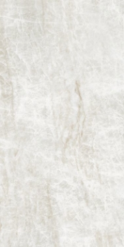 Picture of Elysium - Kraken 24 x 48 Kraken Matte