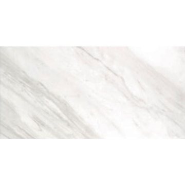 Picture of Tesoro - Delray II 12 x 24 Moon Matte