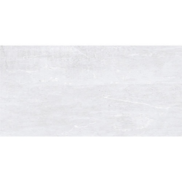 Picture of Tesoro - Origin 12 x 24 Silver