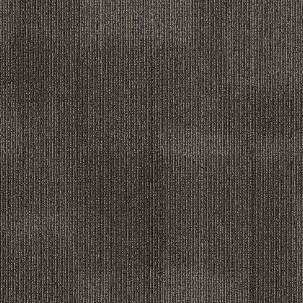 Picture of Philadelphia Commercial by Shaw - Mask Spun