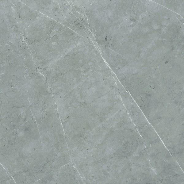 Picture of Elysium - Lava 24 x 24 Natural Grey