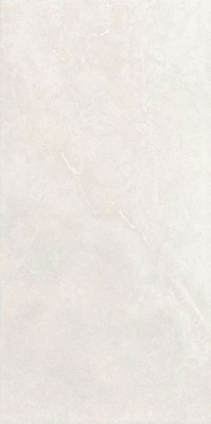 Picture of Elysium - Milano 24 x 48 Bianco Nat