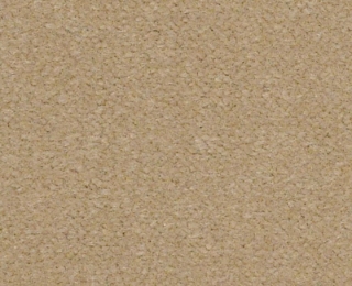 Picture of Philadelphia Commercial by Shaw - Emphatic II 36 Sand Pebble