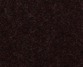 Picture of Philadelphia Commercial by Shaw - Emphatic II 36 Coffee Bean