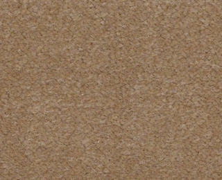 Picture of Philadelphia Commercial by Shaw - Emphatic II 36 Canyon Dust