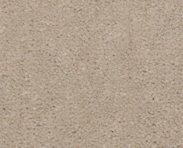 Picture of Philadelphia Commercial by Shaw - Emphatic II 36 Oatmeal