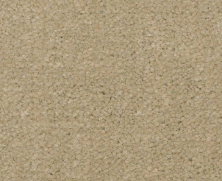 Picture of Philadelphia Commercial by Shaw - Emphatic II 36 Parchment