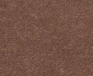 Picture of Philadelphia Commercial by Shaw - Emphatic II 36 Koala