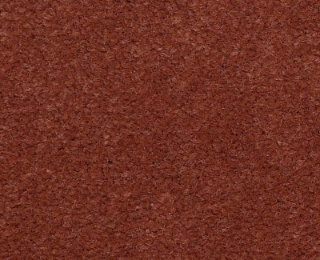 Picture of Philadelphia Commercial by Shaw - Emphatic II 36 Sundance