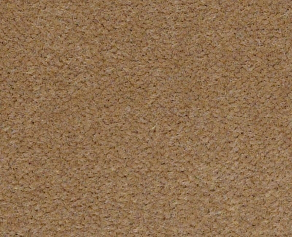 Picture of Philadelphia Commercial by Shaw - Emphatic II 36 Straw Market