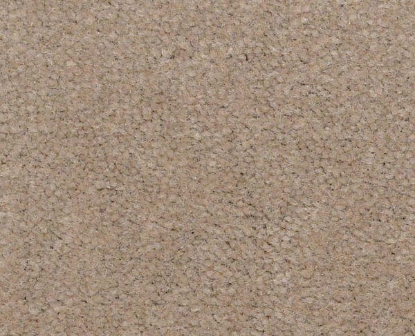 Picture of Philadelphia Commercial by Shaw - Emphatic II 36 Timeless