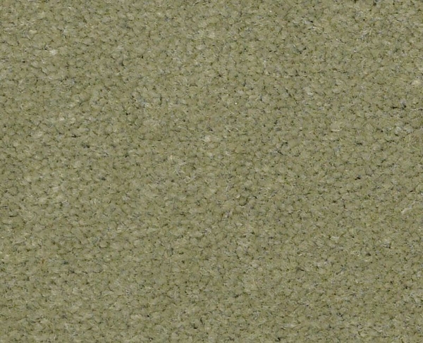 Picture of Philadelphia Commercial by Shaw - Emphatic II 36 Island Green