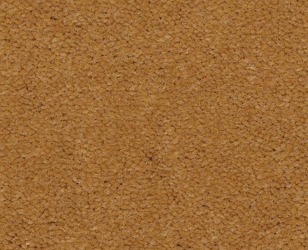 Picture of Philadelphia Commercial by Shaw - Emphatic II 36 Gold Coast