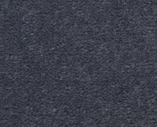 Picture of Philadelphia Commercial by Shaw - Emphatic II 36 Amethyst