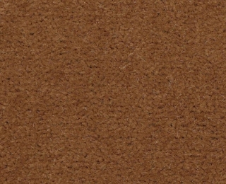 Picture of Philadelphia Commercial by Shaw - Emphatic II 36 Canyon Rim