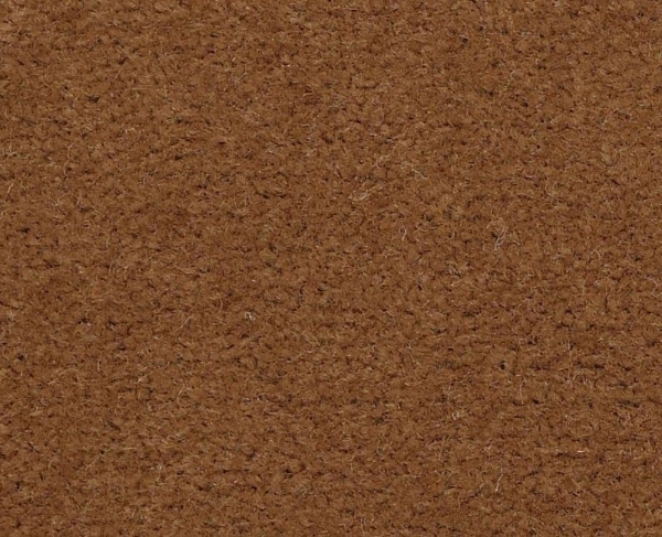 Picture of Philadelphia Commercial by Shaw - Emphatic II 36 Canyon Rim