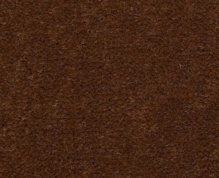 Picture of Philadelphia Commercial by Shaw - Emphatic II 36 Cinnamon Sugar