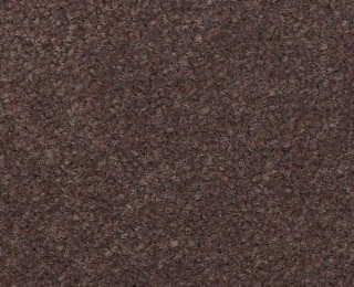 Picture of Philadelphia Commercial by Shaw - Emphatic II 36 Raisin