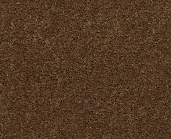 Picture of Philadelphia Commercial by Shaw - Emphatic II 36 Sugar Maple