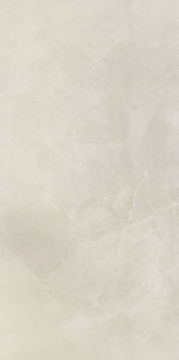 Picture of Elysium - NG Pulpis Prime 24 x48 Light Grey