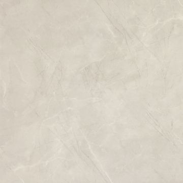 Picture of Elysium - NG Pulpis Prime 48 x 48 Light Grey Polished